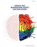 Die Fontäne Jahresabo 2020 (4 Zeitschriften)